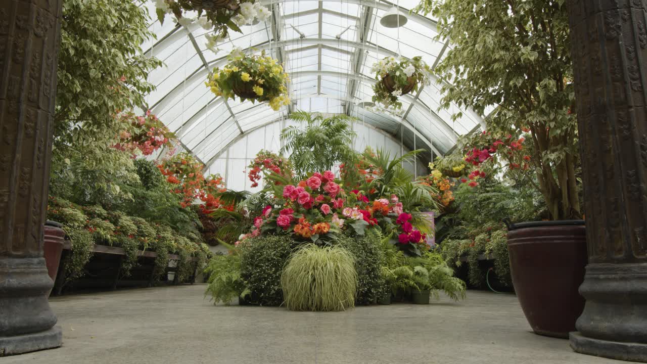 Gentle tracking movement inside glass house in full bloom.