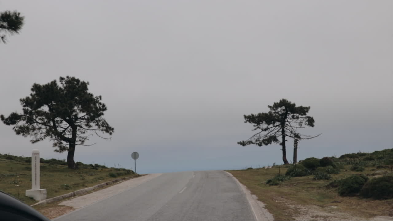 슬로우 모션으로 안개가 자욱한 경치를 감상하며 산길을 운전하다