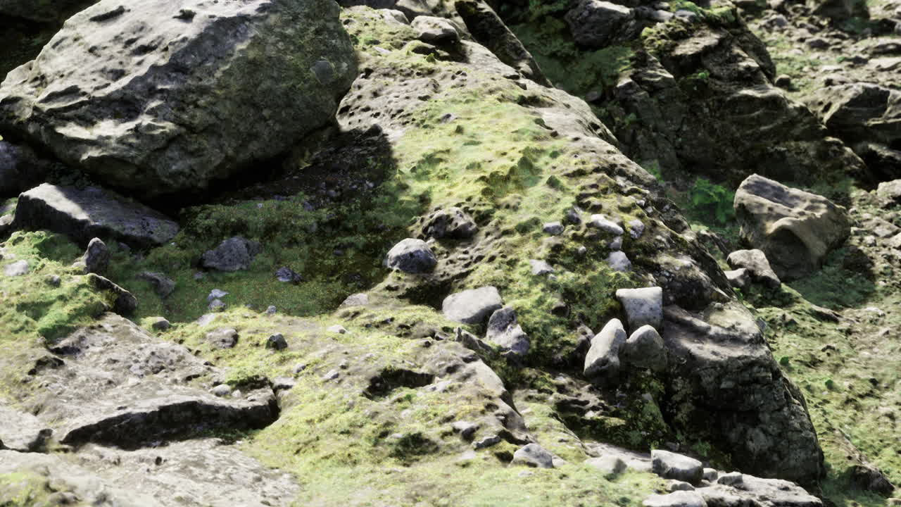 Moss covered rocks glistening in vibrant sunlight near the coastal shore