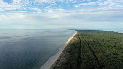 aerial: rotating shot of green forest cloudy sky and rippling baltic sea in nida