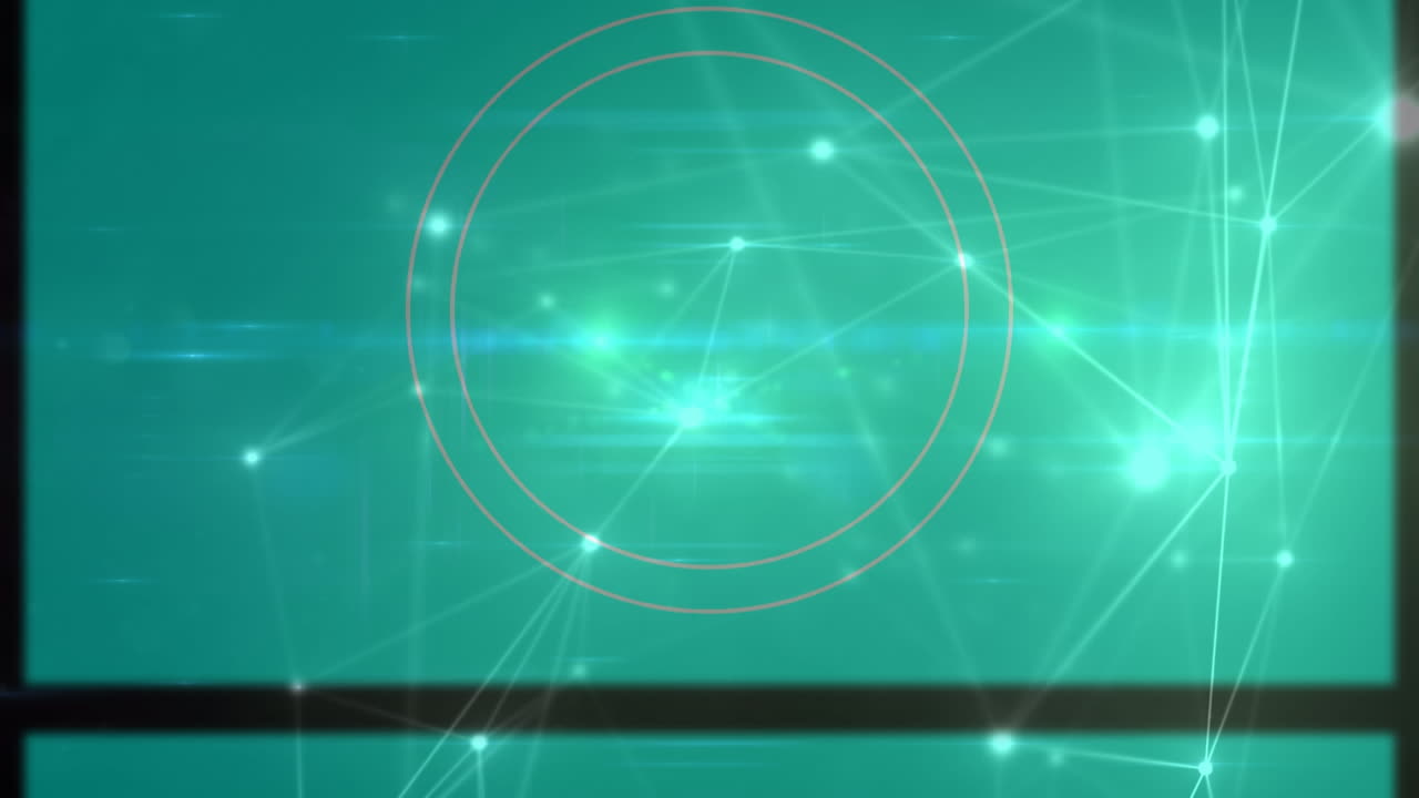 연결 네트워크의 애니메이션과 데이터 처리