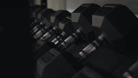 dumbbells in a gym