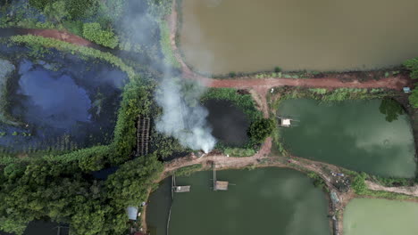 Aerial video of wetlands in Tonlé Sap, Cambodia. A dirt road cuts through green vegetation as white smoke rises from a small fire near fish ponds and waterways
