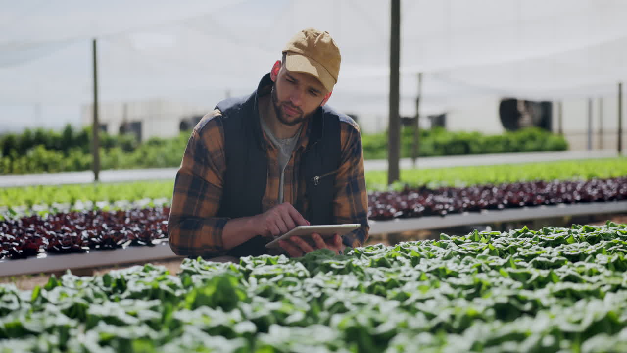 agricultor que utiliza una tableta en el invernadero