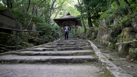 Solo-Male-Hiker-Walking-Down-Steps-In-Japanese-Zen-Garden-In-Mitaki