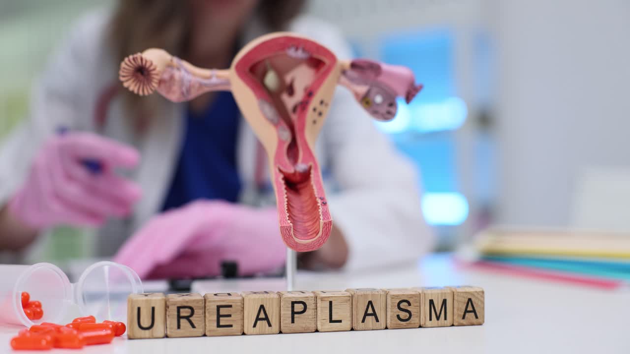 Blocchetti di legno mostrano la parola 'ureaplasma' vicino a un modello di utero in clinica.