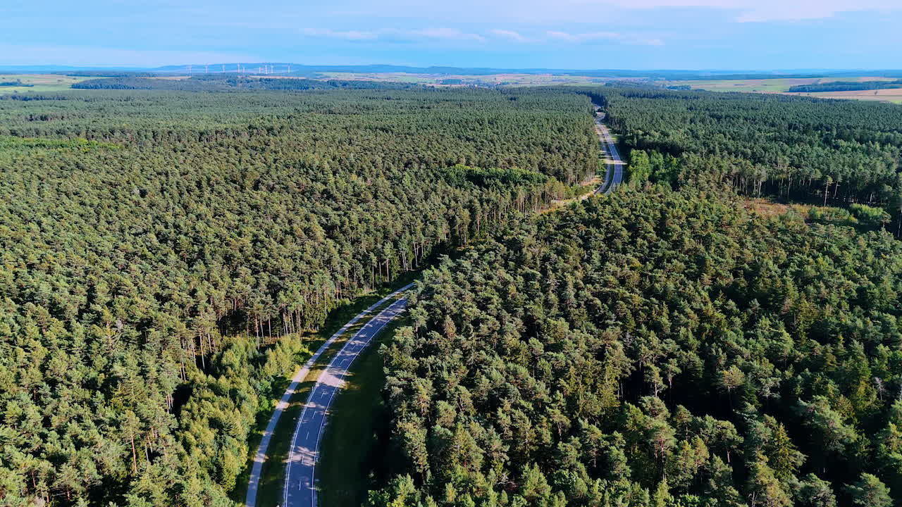 Highway crosses the vast evergreen pine tree forest. Drone flight over the woods growing in the countryside