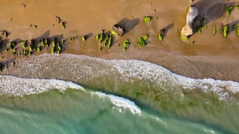 Grüner-Heller-Farbfleck-Am-Goldenen-Sandstrand.-Die-Farbenfrohe-Meereslandschaft-Im-Küstenseehafen-Auf-Der-Insel-Hormuz.-Natur.-Wundervolle-Weite-Aussicht-Auf-Iran,-Katar,-Ozeangrenze,-Abenteuer-Am-Persischen-Golf