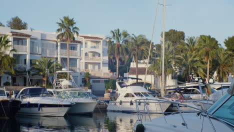 late afternoon at the cala d'or marina in mallorca, spain, featuring boats, turquoise waters, white houses, palm trees, and a clear blue sky