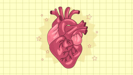 an animation of a hand drawn heart drawing illustration