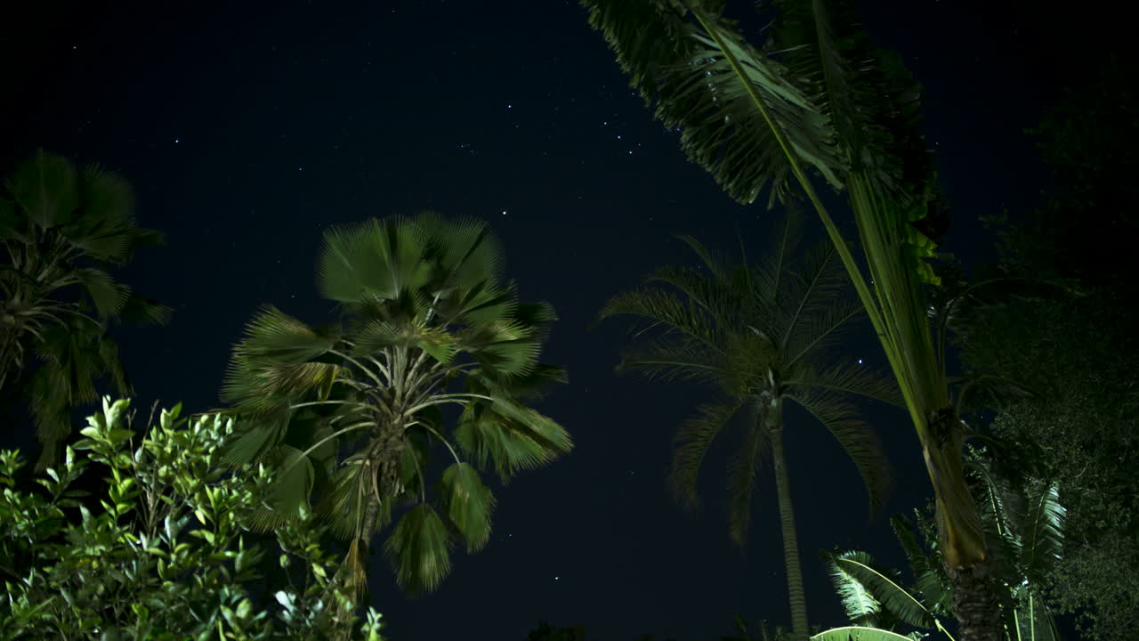 조용하고 평화로운 별이 빛나는 저녁으로 starlapse 바람이 부는 오후