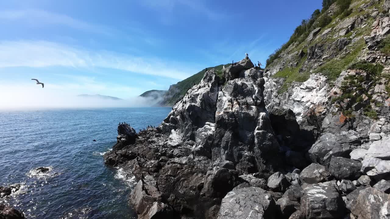 Discover stunning coastal rock formations with people adventuring at the shoreline on a bright day