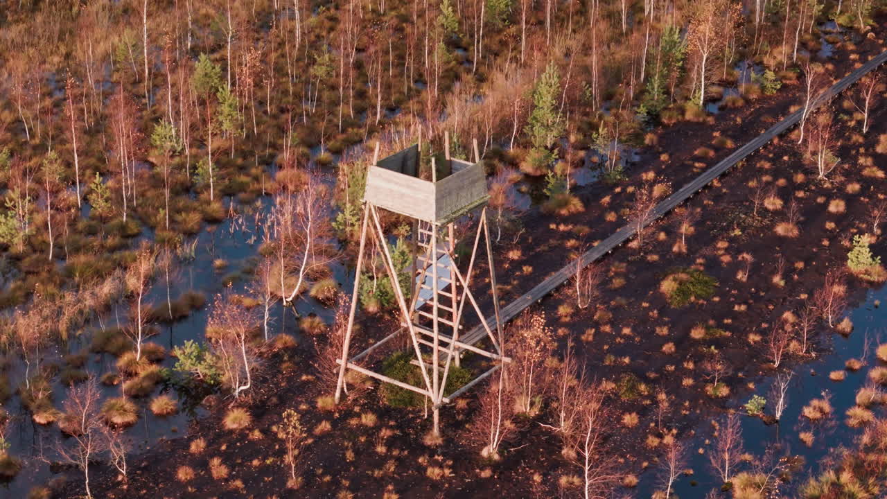 una toma circular de un dron captura una torre de vigilancia de madera en un lago cubierto de vegetación durante las horas matutinas de otoño