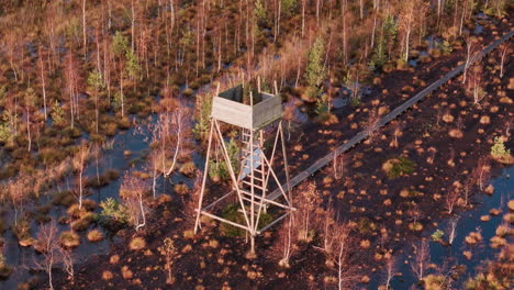 circular drone shot captures wooden watch tower in overgrown lake during autumn morning hours