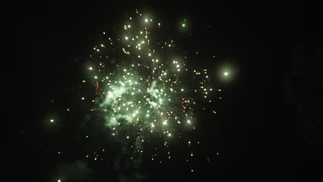 los fuegos artificiales explotan en colores vibrantes en el cielo nocturno a cámara lenta