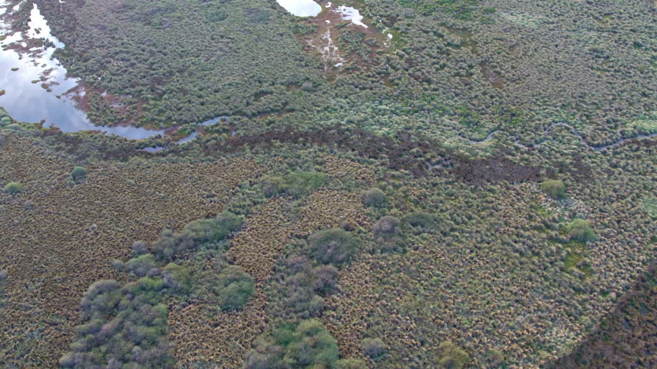 vista aérea de diferentes tipos de vegetación y agua en el lago connewarre cerca de barwon heads, victoria, australia