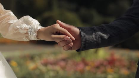 newlyweds. hands of groom with bride touch each other. wedding couple in the park. happy family