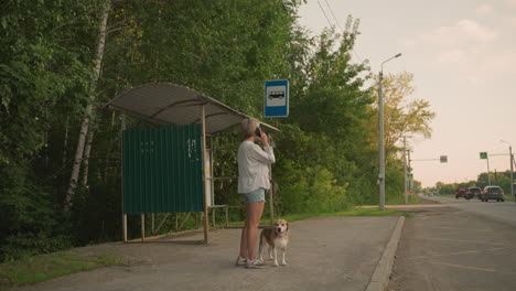 dog owner standing at bus stop in rural area holding dog on leash while talking on phone, background features green trees, bus stop shelter, and road with cars in traffic