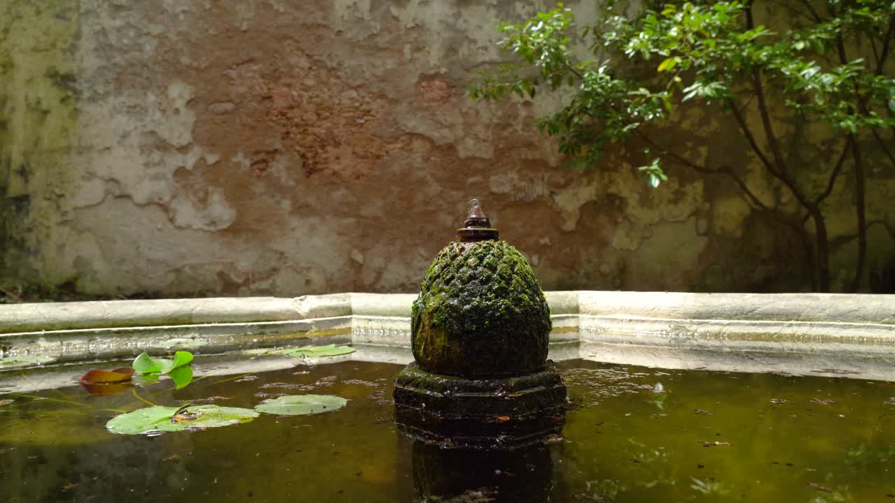 Fountain Covered in Moss Leaking Water in Botanical Garden of the University of Coimbra