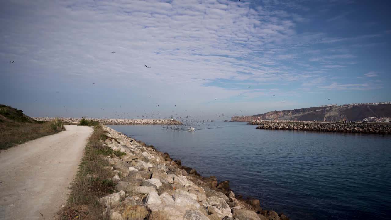부두로 돌아가는 포격 어선 설정, 갈매기는 먹이를 찾아 따라간다