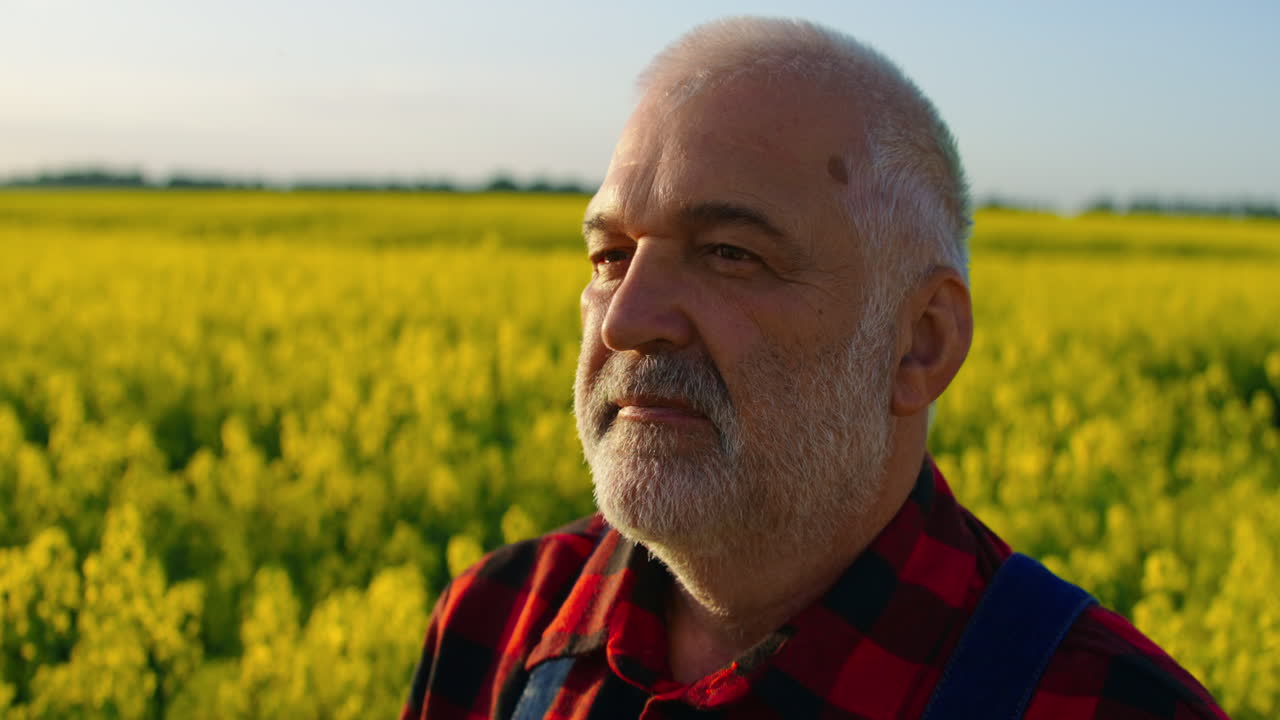 Agricoltore anziano pensieroso in piedi in un campo di colza giallo