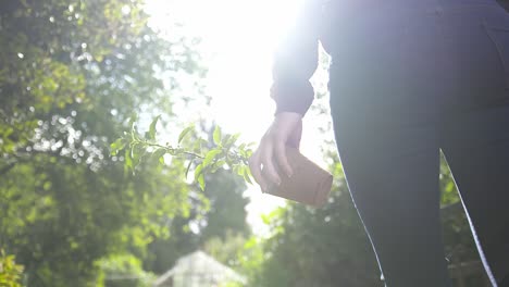 Actividad-De-Jardinería-Desde-Macetas,-Cuidado-De-árboles-Jóvenes-Y-Cuidado-General-De-Las-Plantas