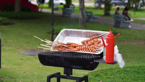 street food in panama: various types of skewered pieces ready to be grilled, with sausages and marinated meat, on a barbecue grill in a park