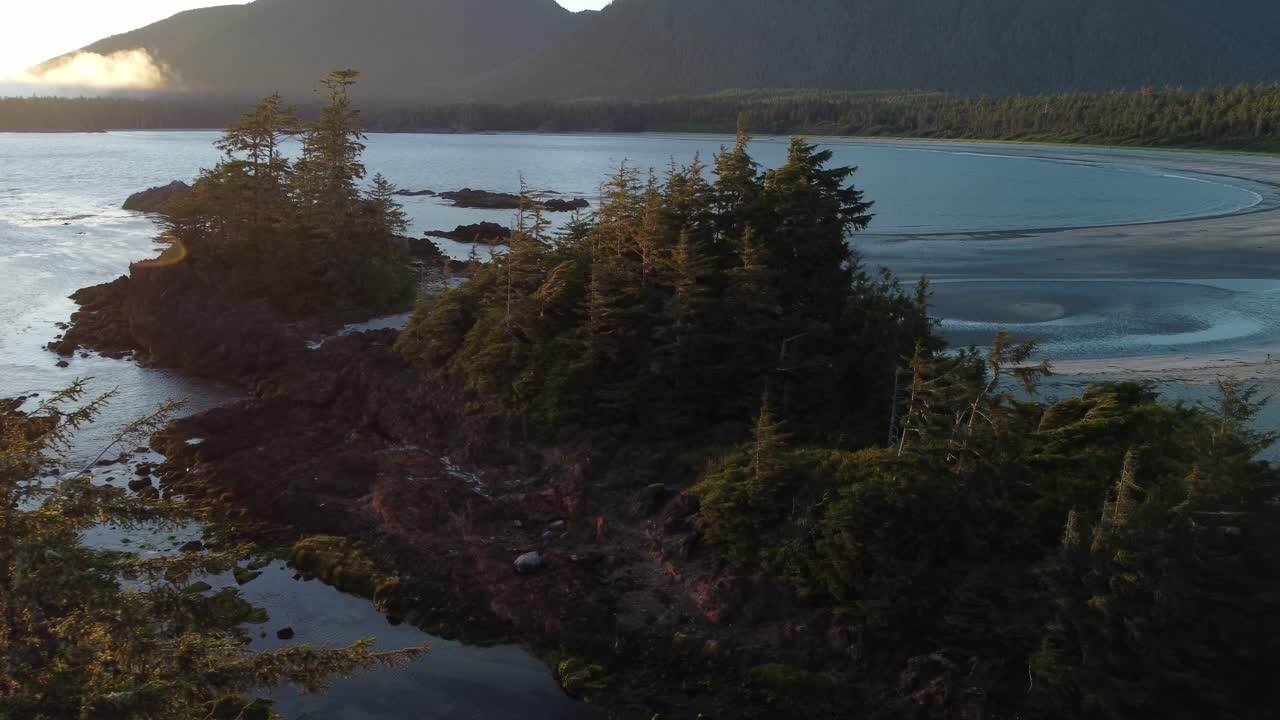 Costa occidentale dell'isola di Vancouver, Columbia Britannica, nel Clayoquot Sound, con oceano e nebbia dietro un'isola alberata.