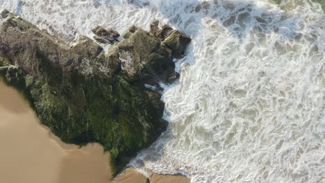 White-waves-rolling-up-from-top-of-screen-onto-large-seaweed-covered-horizontal-bedded-sedimentary-ocean-rock-aerial-view-rocky-shoreline-Turimetta-Beach-Sydney-Australia