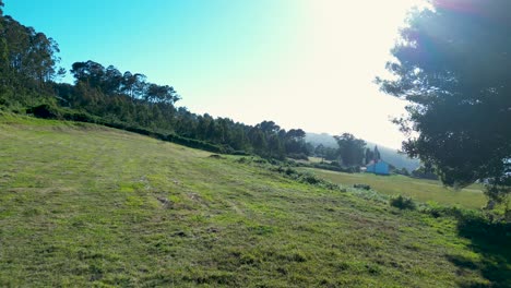 flying through verdant landscape with tree silhouette during sunrise in summertime