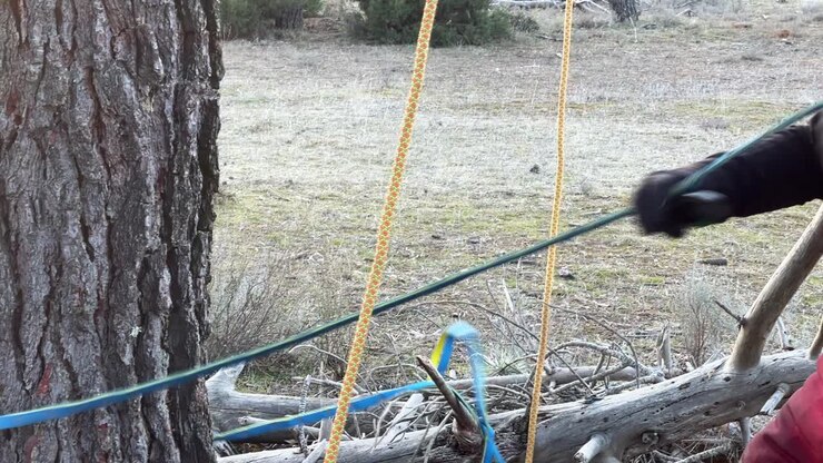 Lavoratrice in quota che tira le corde nella foresta