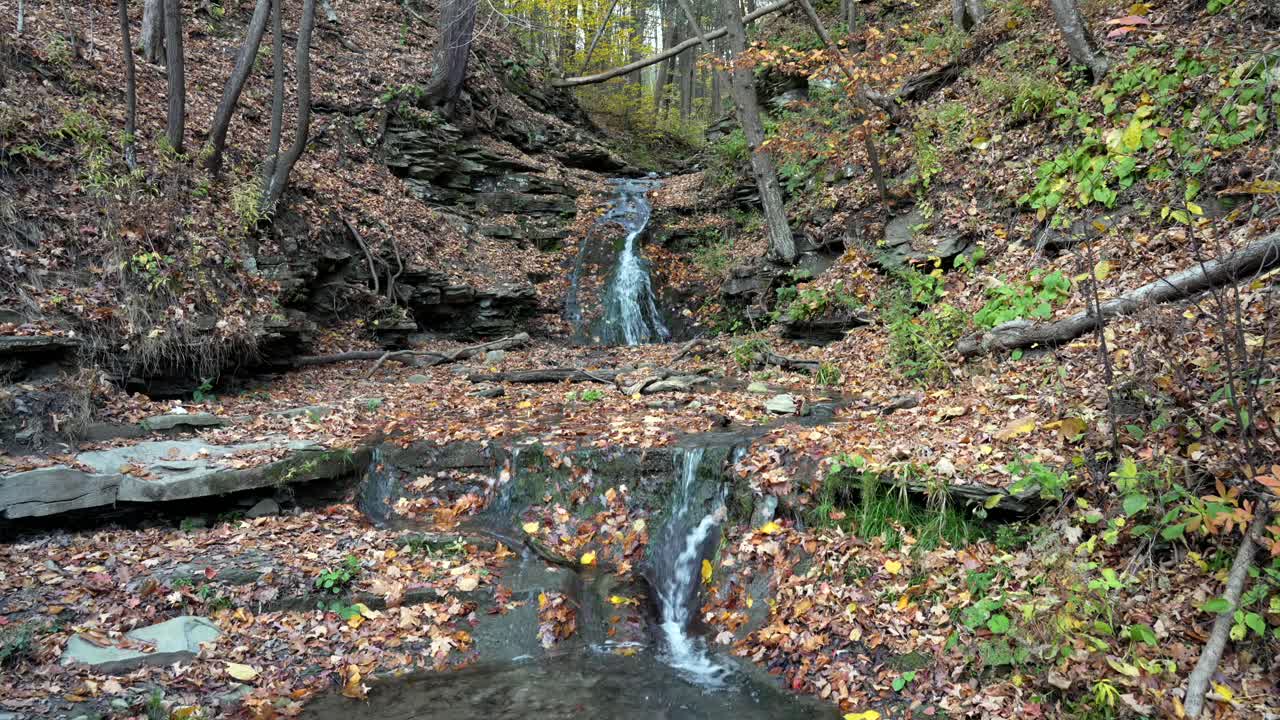 Autumn Waterfall in Forest