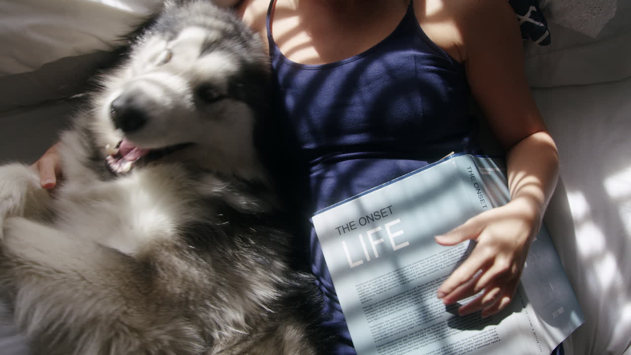 He's the cutest dog you'll see all day