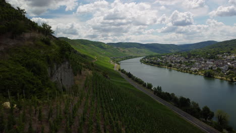 Vuelo-Sobre-Un-Viñedo-Junto-Al-Lago-Moselle-Mientras-La-Cámara-Se-Inclina-Hacia-Arriba