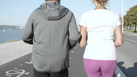 back view of active joggers running on asphalt road