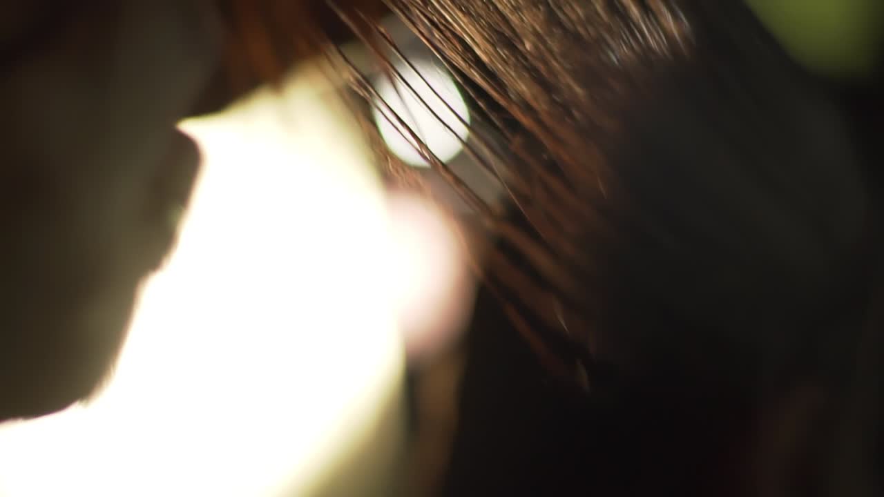 헤어케어 및 스타일링 세션