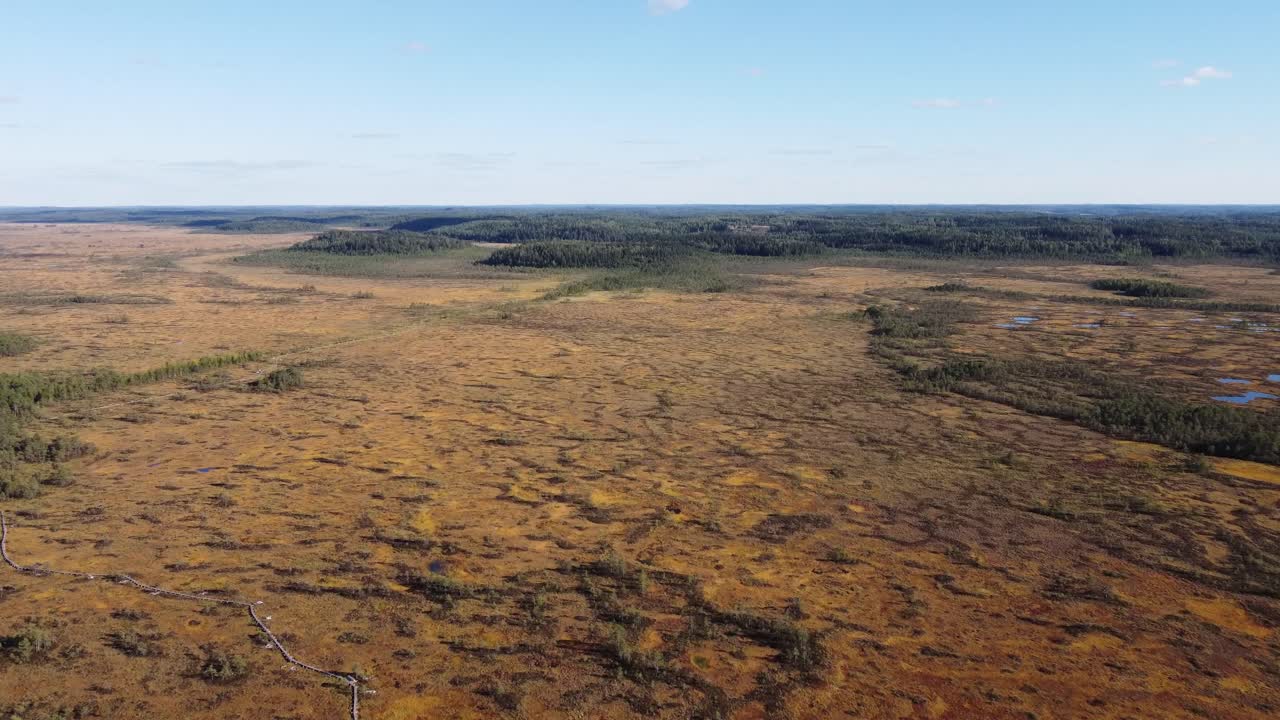 gran pantano durante el día. disparo de dron