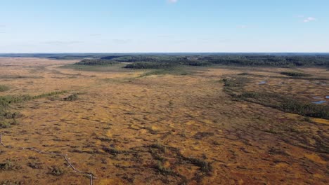 large swamp during the daytime. drone shot