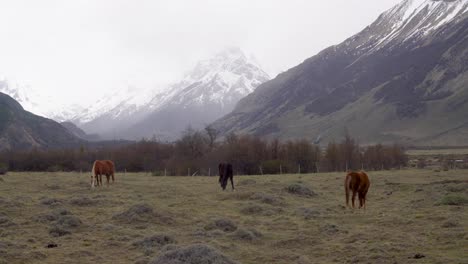 Los-Caballos-Pastan-Bajo-El-Cielo-Nublado-En-Una-Pradera-En-Las-Afueras-Del-Parque-Nacional-Fitz-Roy-Argentina