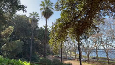 Herbstbäume-Auf-Der-Mounts-Bay-Road-Mit-Swan-River-Und-Parkplatz-Im-Hintergrund-Perth,-Westaustralien