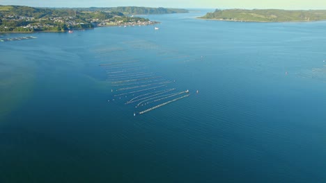 Luftaufnahme-Einer-Insellandschaft-Mit-Drohnenaufnahmen,-Fischernetze-Bei-Aucar-Chiloé,-Chile,-Patagonisches-Blaues-Naturziel