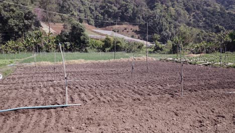 tilled agricultural field ready for planting