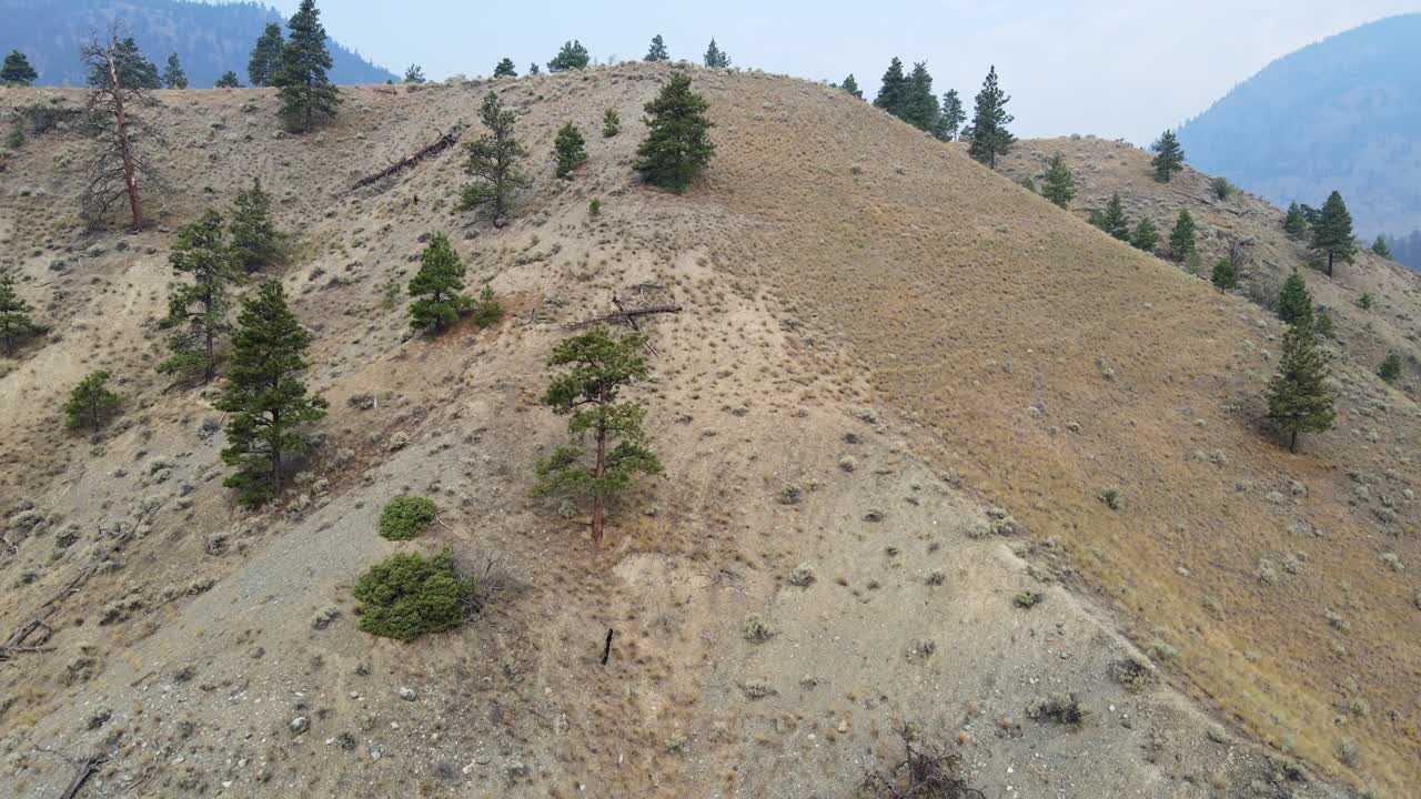 imágenes aéreas de la región más seca y calurosa de canadá durante la temporada de incendios forestales en 2021