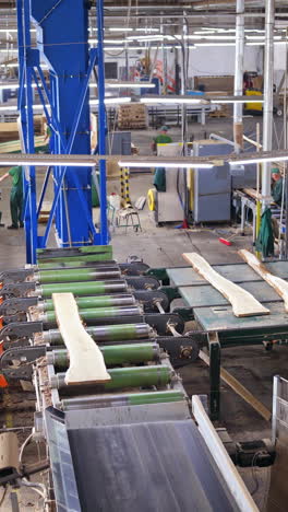 woodworking factory indoors. workers control the process of making boards by automated equipment. power-saw bench. vertical video