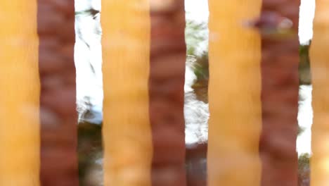 patrones de arquitectura pilares naranjas reflejados en el agua