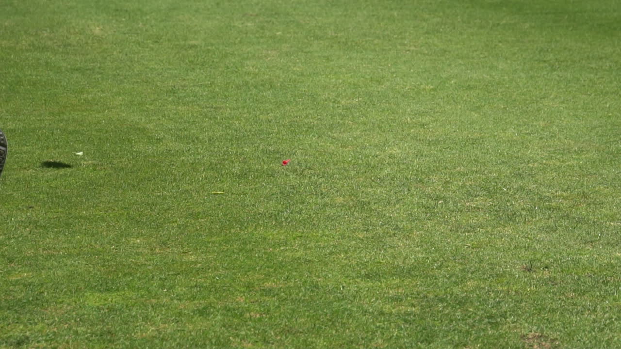 HIT ON THE GOLF GREEN AND BALL ENTRANCE