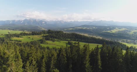 flying over the beautiful forest trees landscape panorama 10