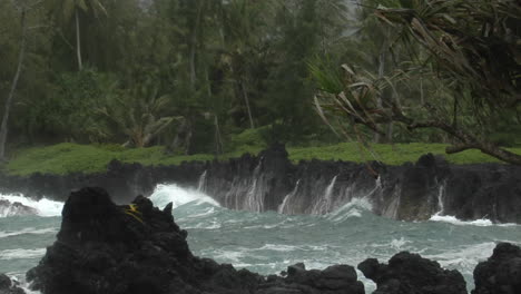 a large pacific storm batters hawaii with large waves 10