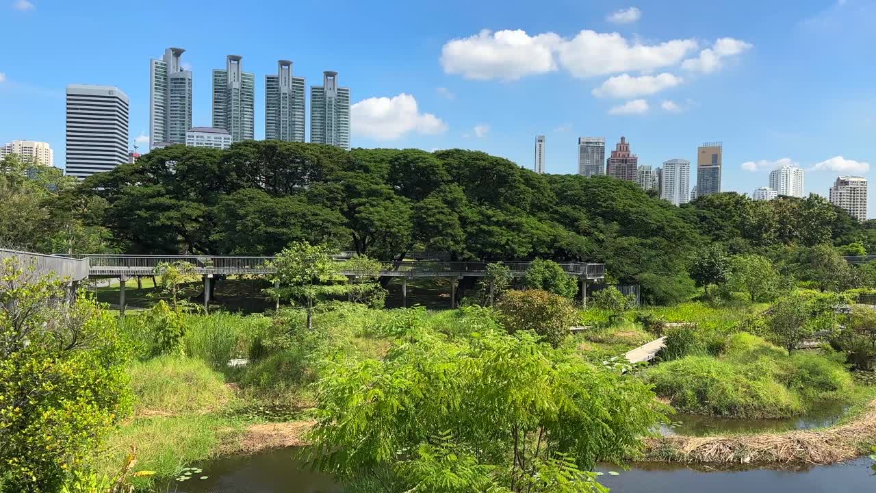 Bangkok Skyscrapers Skyline View from Benchakitti Park – City Buildings Behind Lake and Green Nature, Central Bangkok Thailand, Southeast Asia Urban Landscape Video