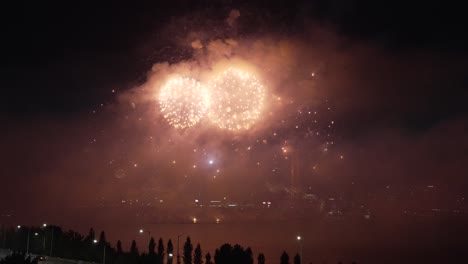 yeouido seoul international firework festival at the han river 2024
